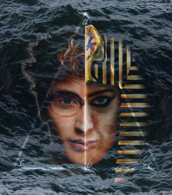 The Theorem by Ann Ciarico